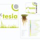 Brochure Extesia